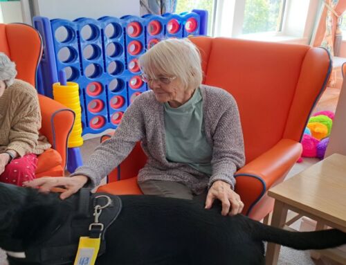 Therapy Dog Brings Joy and Comfort to Hutton Manor Care Home Residents